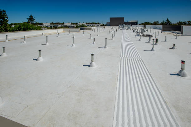 Best Asphalt Shingle Roofing  in East Chicago, IN